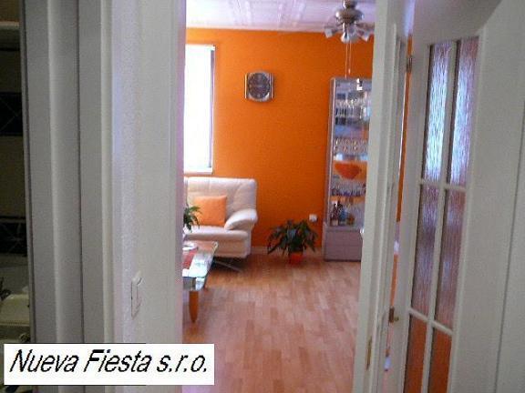 Nueva Fiesta 玛丽亚温泉